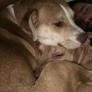 Meet your Posher, Katelyn